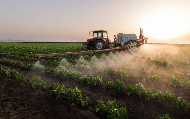Best Pest Removal Services  in Steele, AL