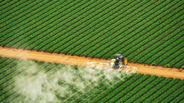 Reliable Steele, AL Pest Control Solutions