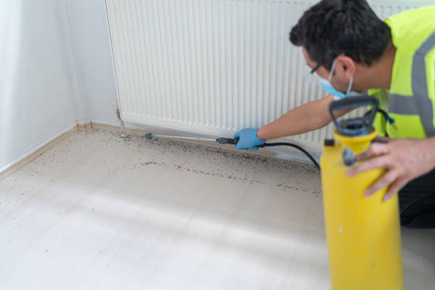 Best Residential Pest Control  in Steele, AL