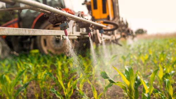 Best Mosquito Control Services  in Steele, AL